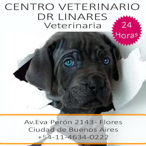 veterinaria linares2